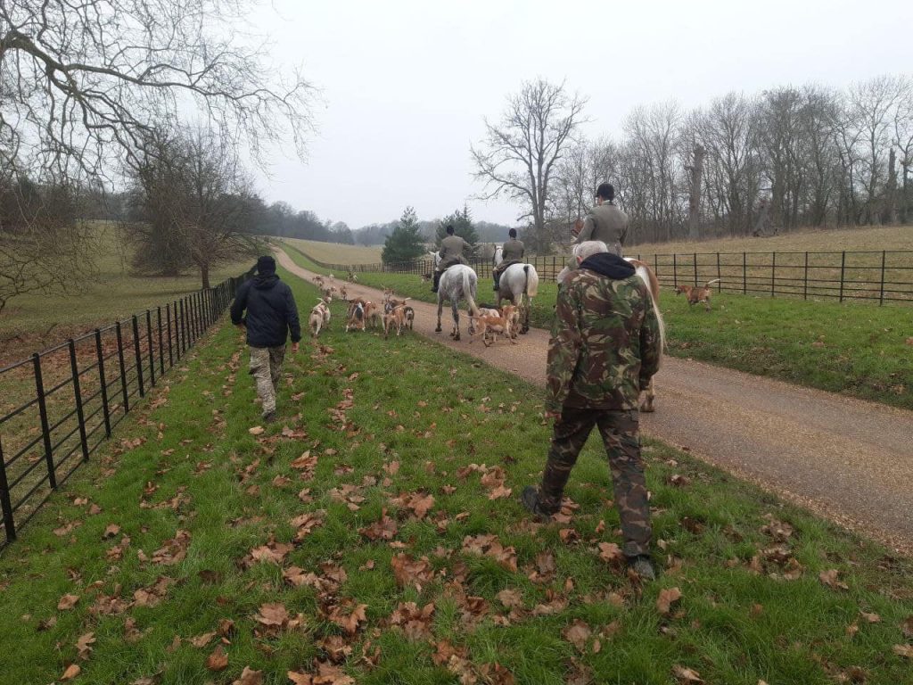 Hunt Sabs Not Guilty Of Aggravated Trespass!